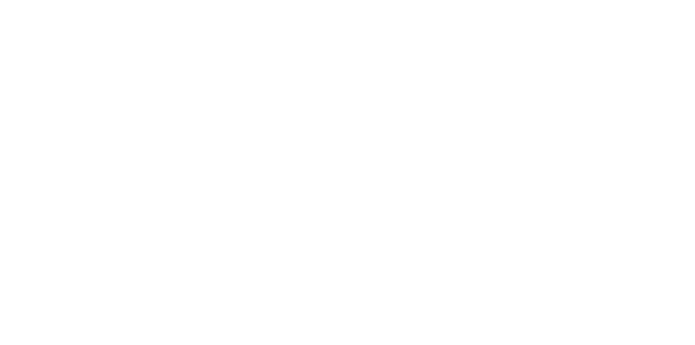 Total Eclipse Disco – home